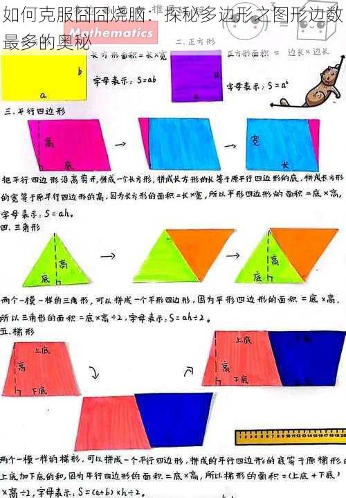 如何克服囧囧烧脑：探秘多边形之图形边数最多的奥秘