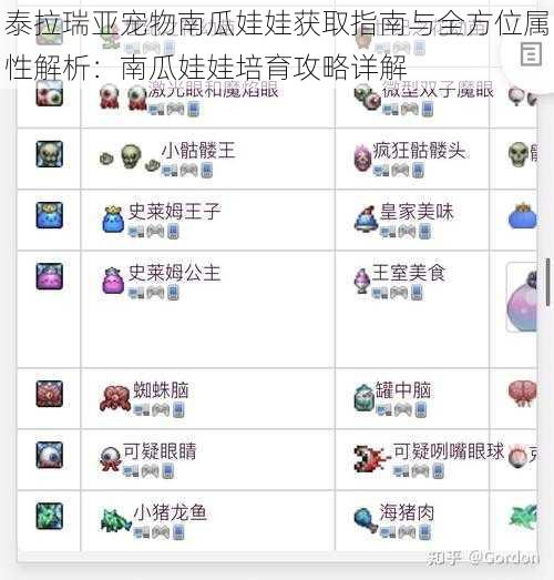 泰拉瑞亚宠物南瓜娃娃获取指南与全方位属性解析：南瓜娃娃培育攻略详解