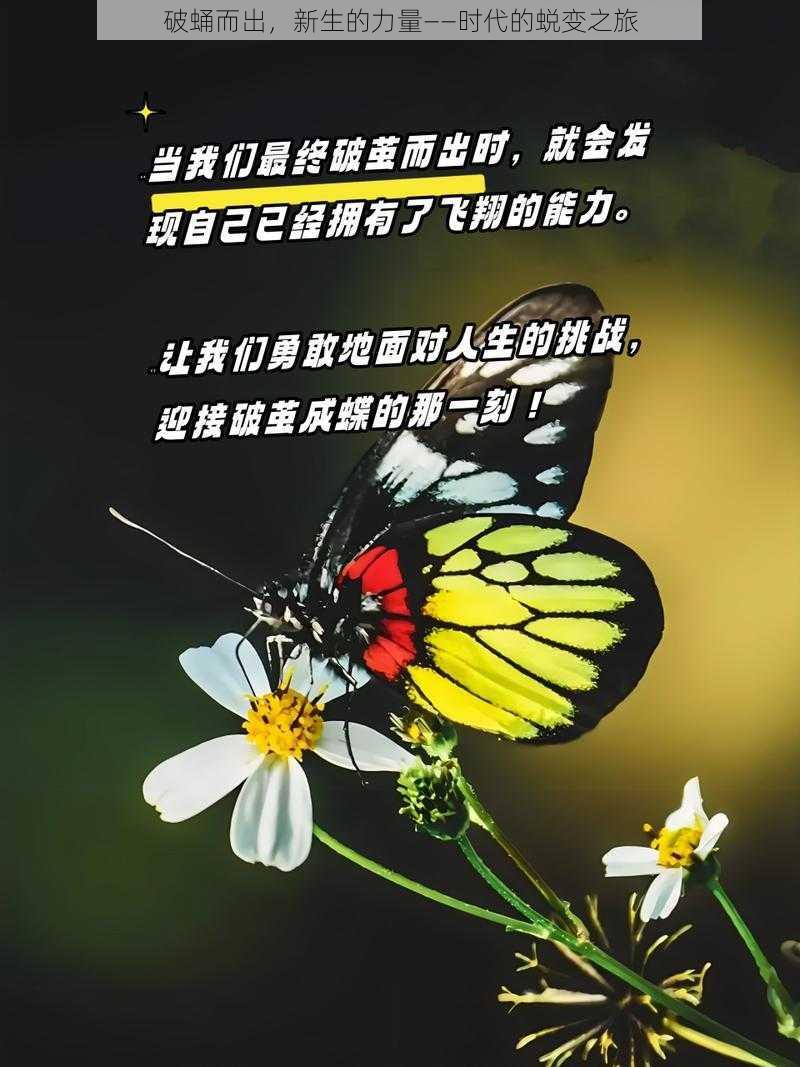 破蛹而出，新生的力量——时代的蜕变之旅