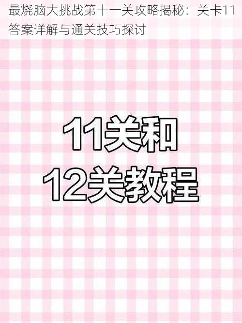 最烧脑大挑战第十一关攻略揭秘：关卡11答案详解与通关技巧探讨