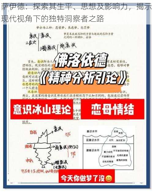 萨伊德：探索其生平、思想及影响力，揭示现代视角下的独特洞察者之路