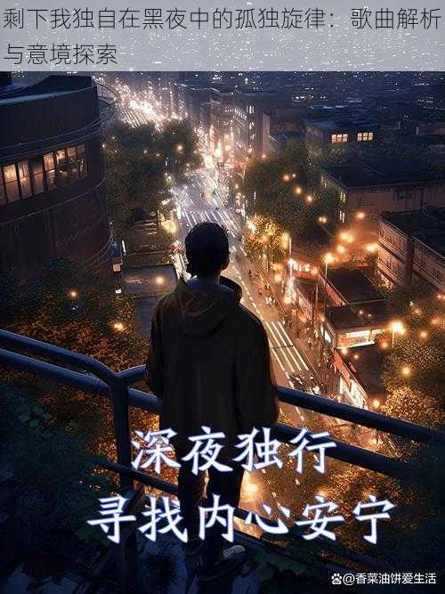 剩下我独自在黑夜中的孤独旋律：歌曲解析与意境探索